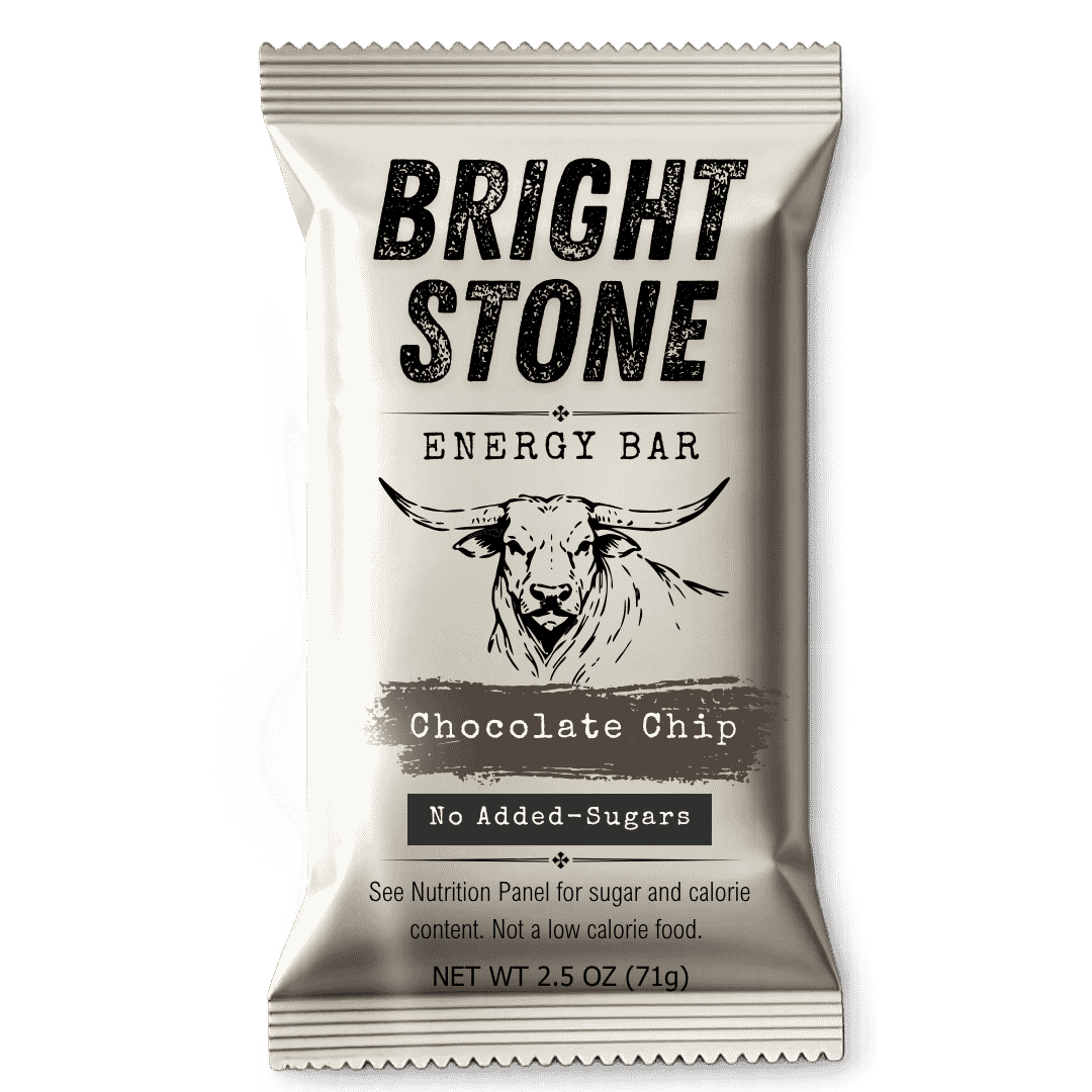 Chocolate Chip (10-pack)